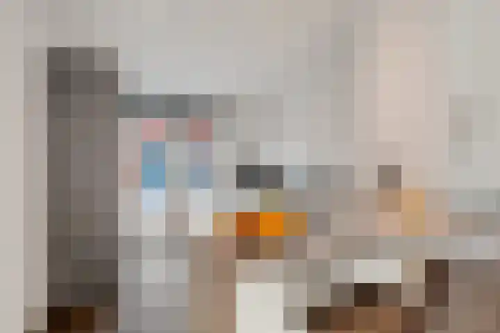 Limmerhoek 42 Alkmaar thumbnail 12