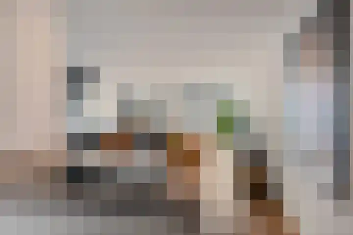 Limmerhoek 42 Alkmaar thumbnail 15