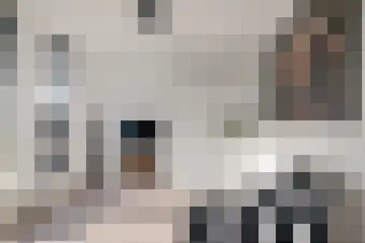 Limmerhoek 42 Alkmaar thumbnail 17
