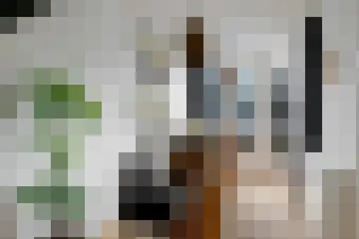 Limmerhoek 42 Alkmaar thumbnail 6