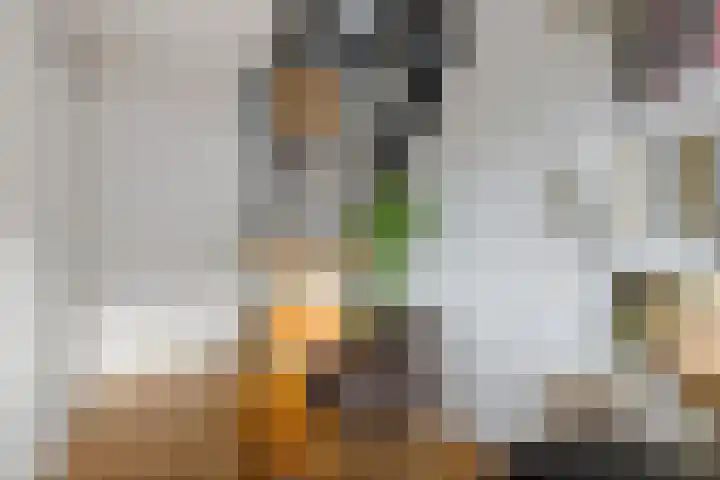 Limmerhoek 42 Alkmaar thumbnail 7