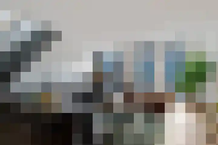 Limmerhoek 42 Alkmaar thumbnail 8