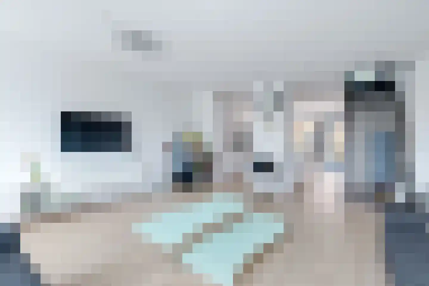 Limmerhoek 45 Alkmaar thumbnail 14
