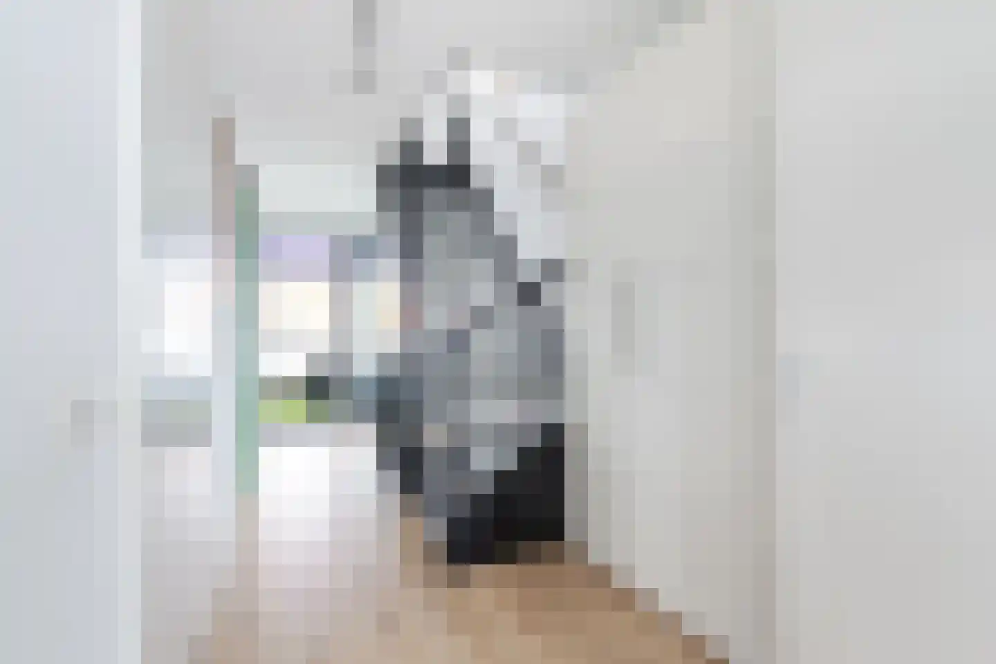 Limmerhoek 45 Alkmaar thumbnail 15