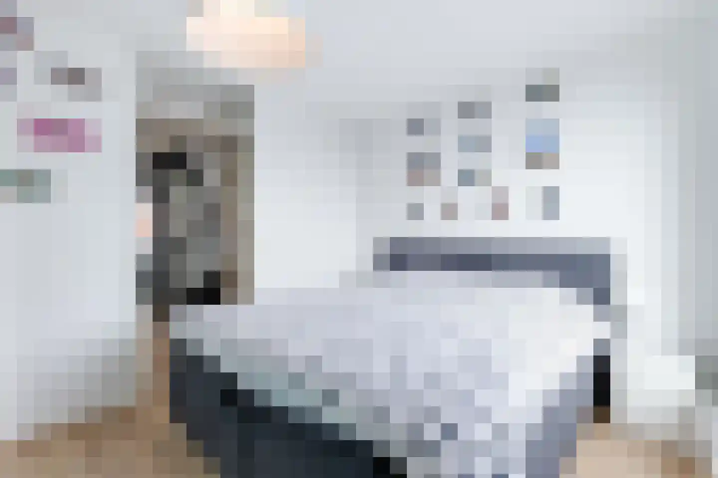 Limmerhoek 45 Alkmaar thumbnail 19