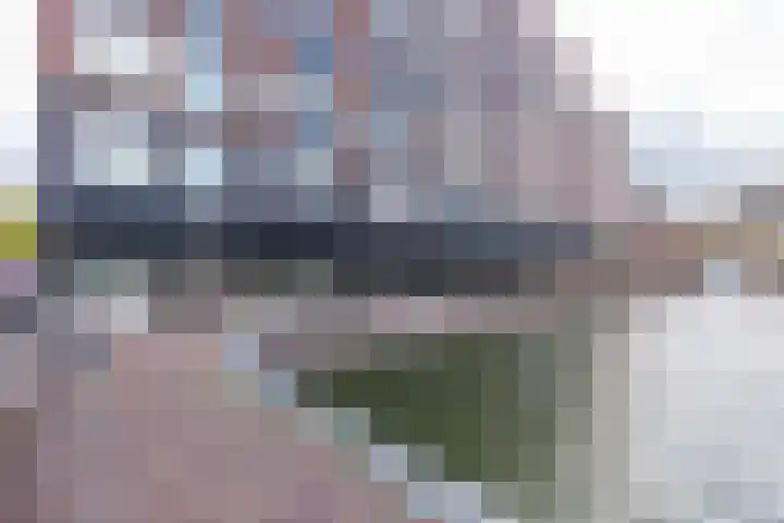Limmerhoek 5 Alkmaar thumbnail 4