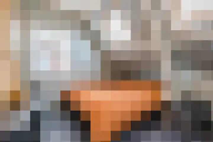 Limmerschouw 25 Winkel thumbnail 30