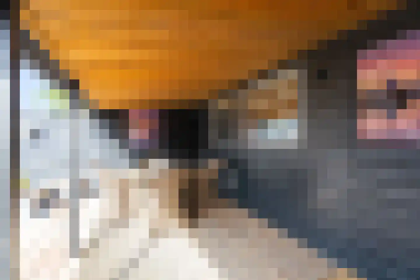 Limmerschouw 25 Winkel thumbnail 38