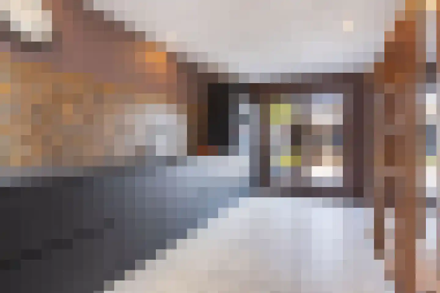 Limmerschouw 25 Winkel thumbnail 4