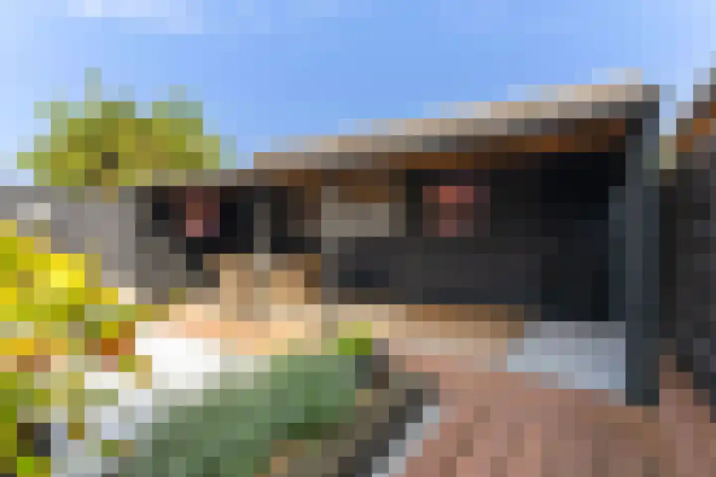 Limmerschouw 25 Winkel thumbnail 46
