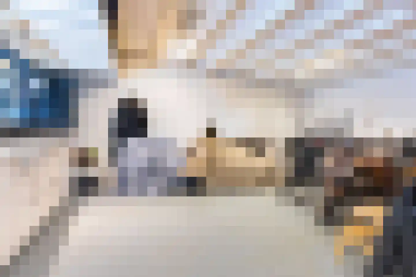 Limmerschouw 25 Winkel thumbnail 49