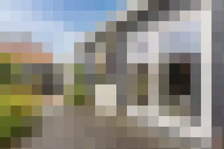 Limmerschouw 25 Winkel thumbnail 54