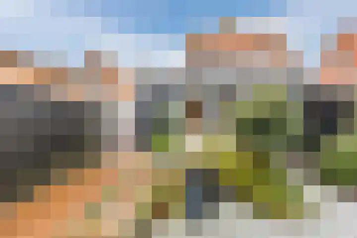 Limmerschouw 25 Winkel thumbnail 58