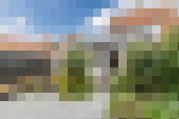 Limmerschouw 25 Winkel thumbnail 59