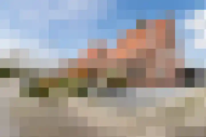 Limmerschouw 25 Winkel thumbnail 66
