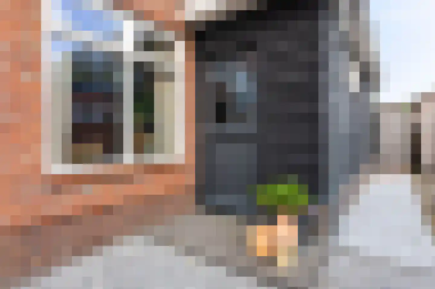 Limmerschouw 25 Winkel thumbnail 7