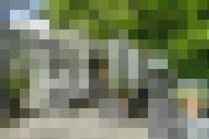 Limmerschouw 26 Winkel thumbnail 23