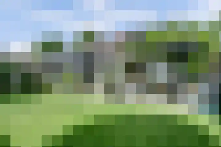 Limmerschouw 26 Winkel thumbnail 24