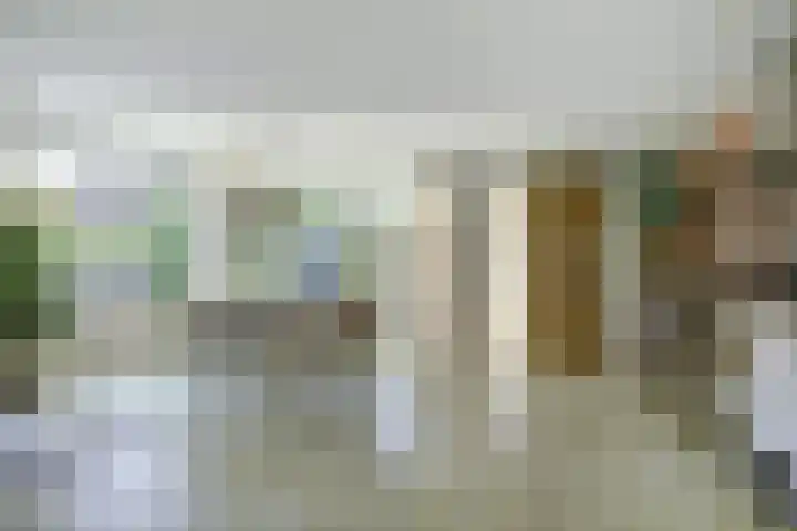 Limmerschouw 26 Winkel thumbnail 4