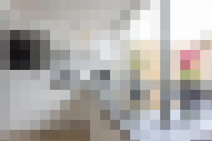 Limoenstraat 21 Heerlen thumbnail 10