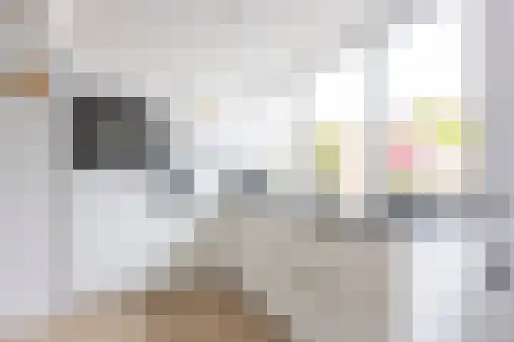 Limoenstraat 21 Heerlen thumbnail 9