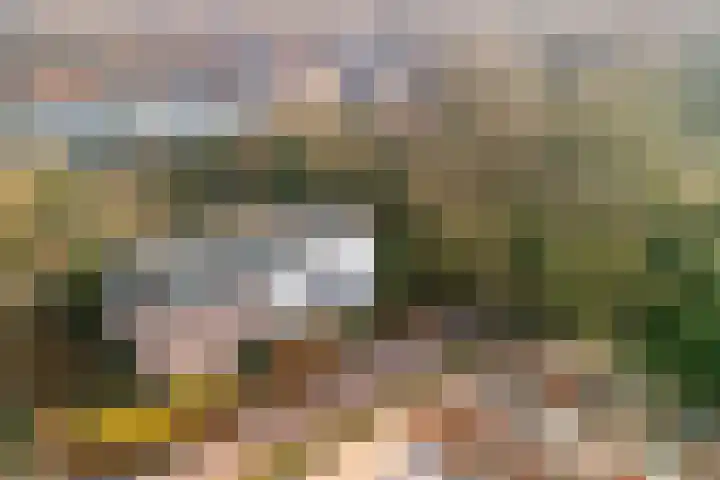 Limoslaan 14 Nijmegen thumbnail 30