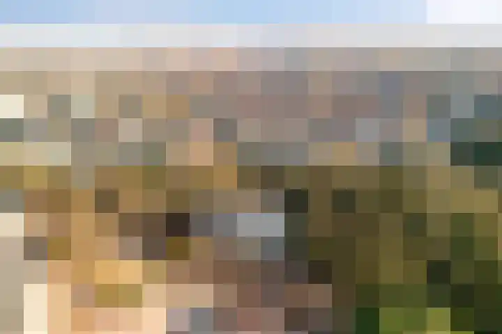 Limoslaan 14 Nijmegen thumbnail 31