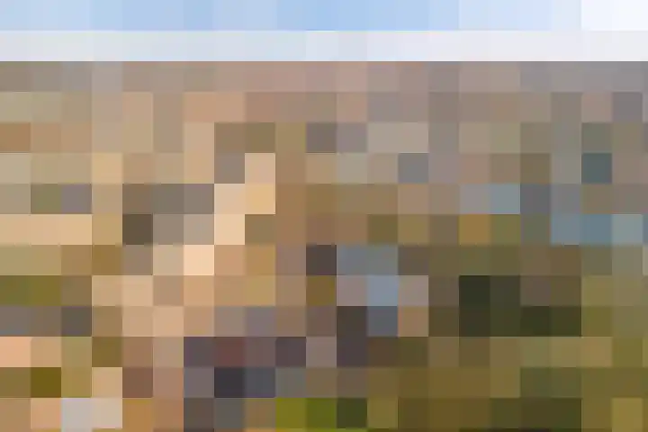 Limoslaan 14 Nijmegen thumbnail 32