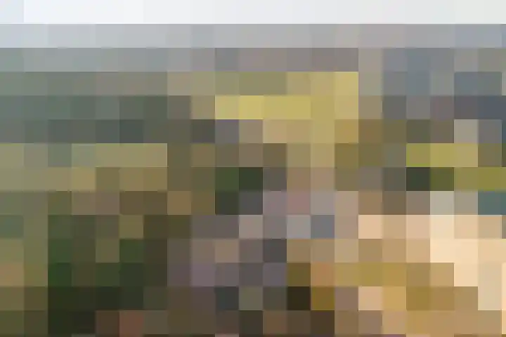 Limoslaan 14 Nijmegen thumbnail 33