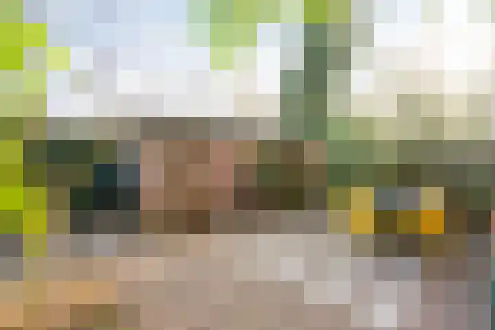 Limoslaan 14 Nijmegen thumbnail 5