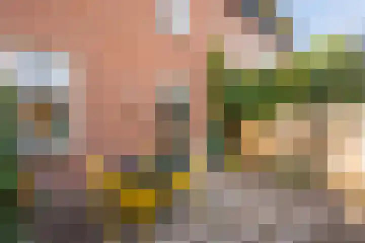 Limoslaan 14 Nijmegen thumbnail 8