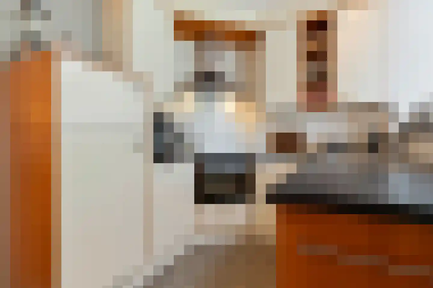 Limousinlaan 13 Eindhoven thumbnail 14