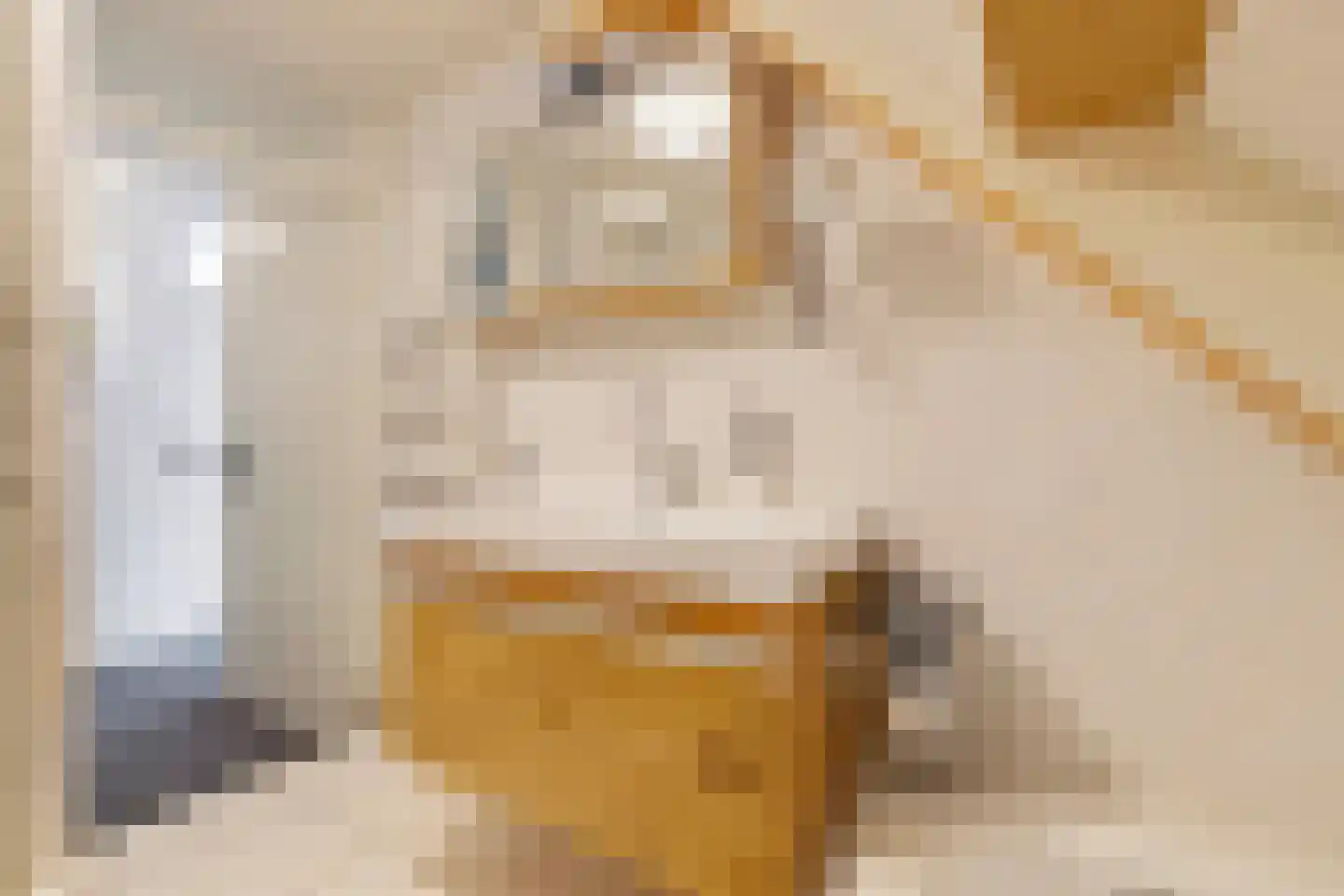 Limousinlaan 13 Eindhoven thumbnail 32
