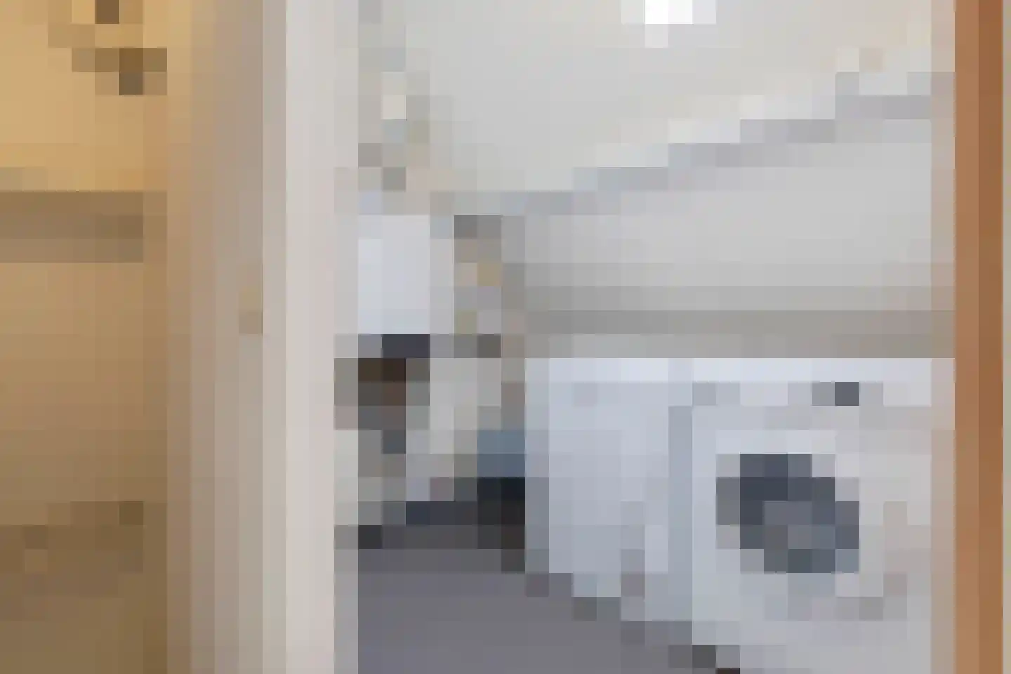 Limousinlaan 13 Eindhoven thumbnail 35