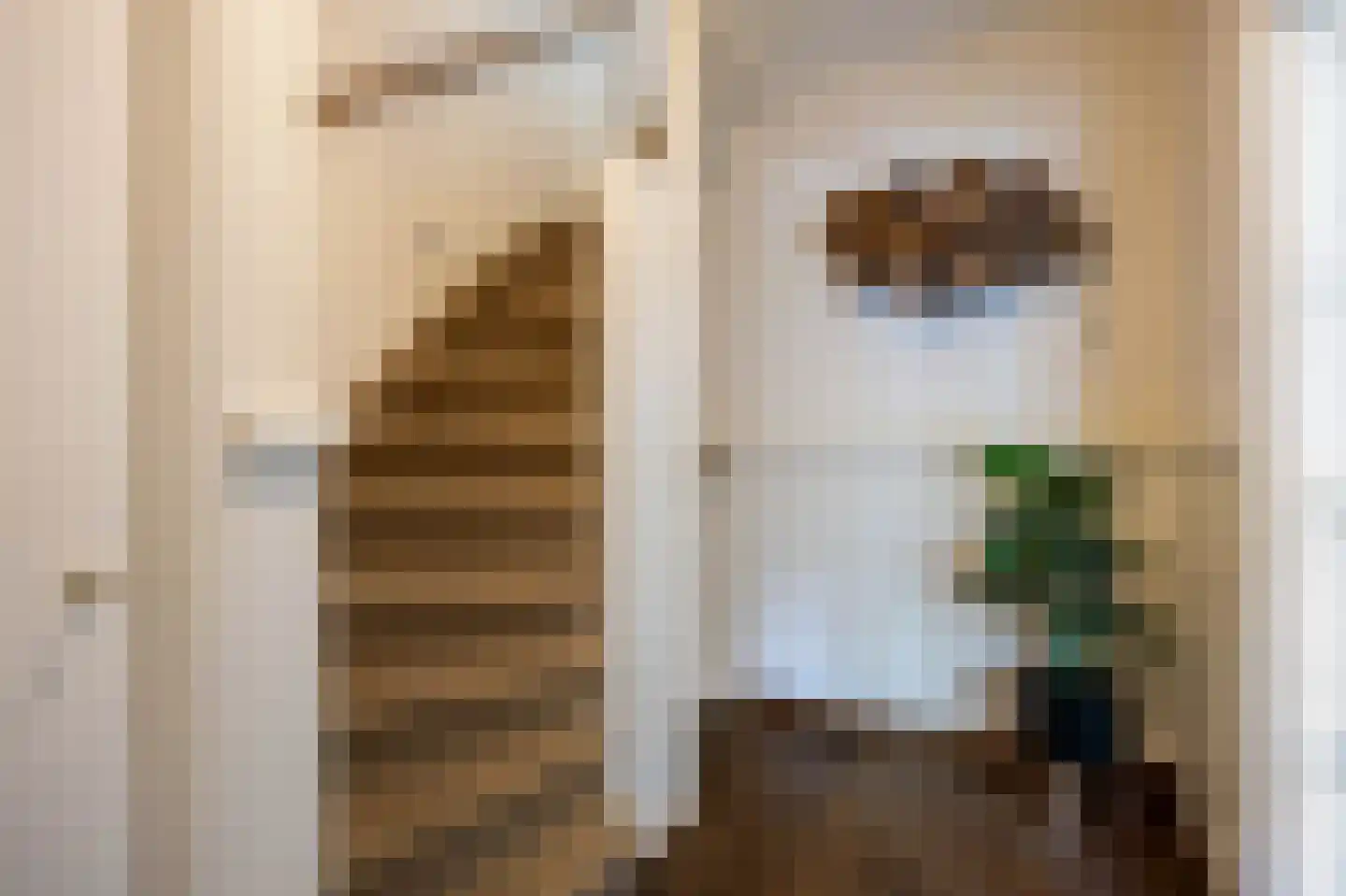 Limpe Hagingastraat 4 Slochteren thumbnail 14