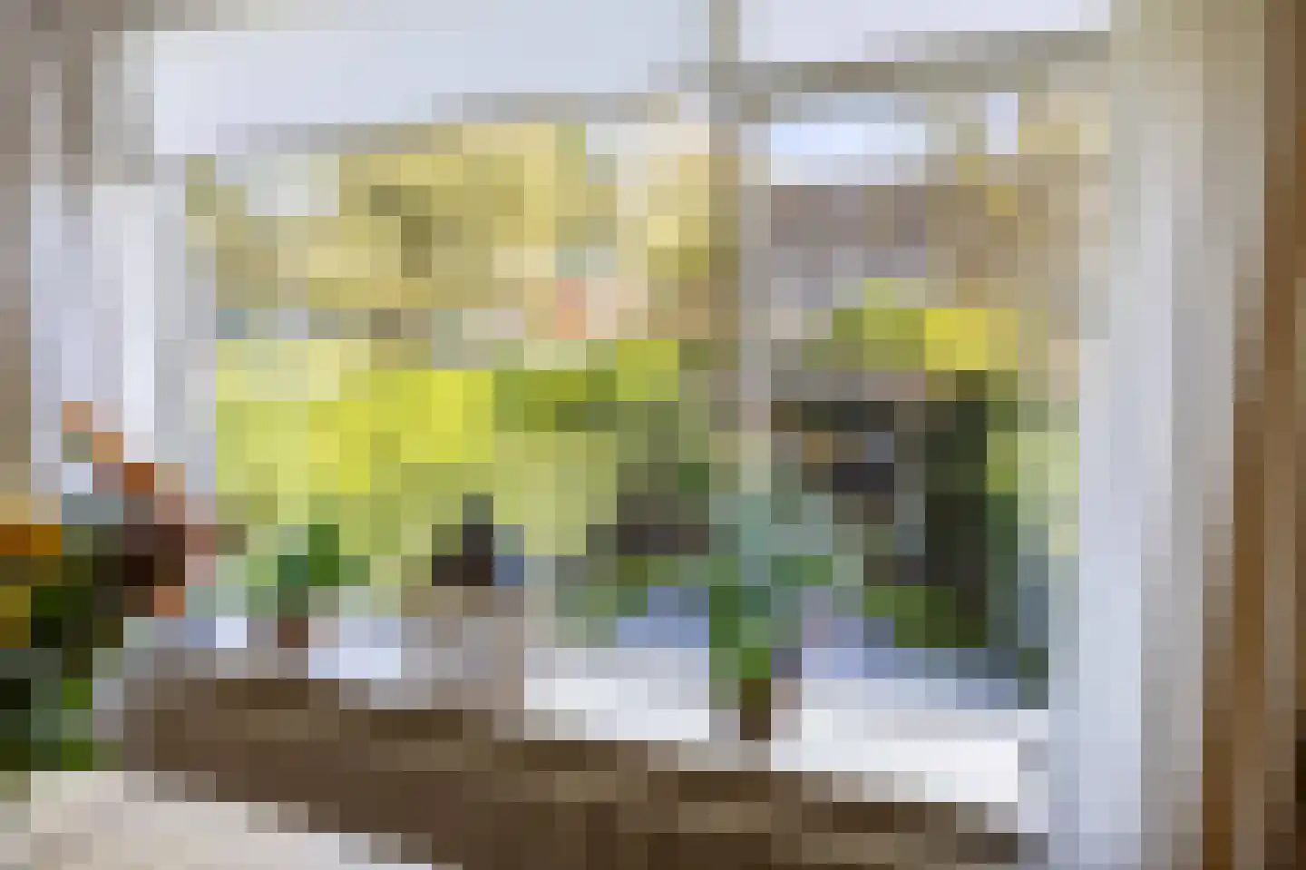 Limpe Hagingastraat 4 Slochteren thumbnail 30