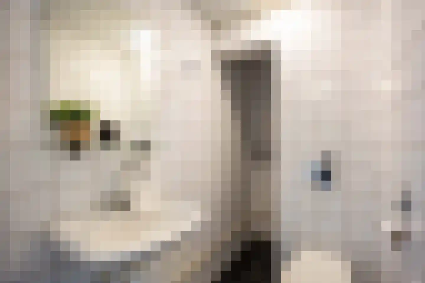 Limpe Hagingastraat 4 Slochteren thumbnail 38