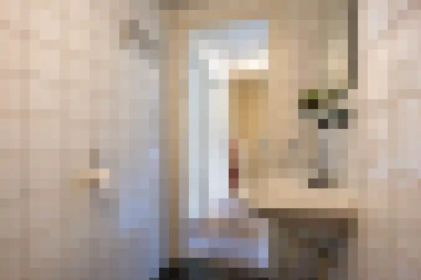 Limpe Hagingastraat 4 Slochteren thumbnail 41