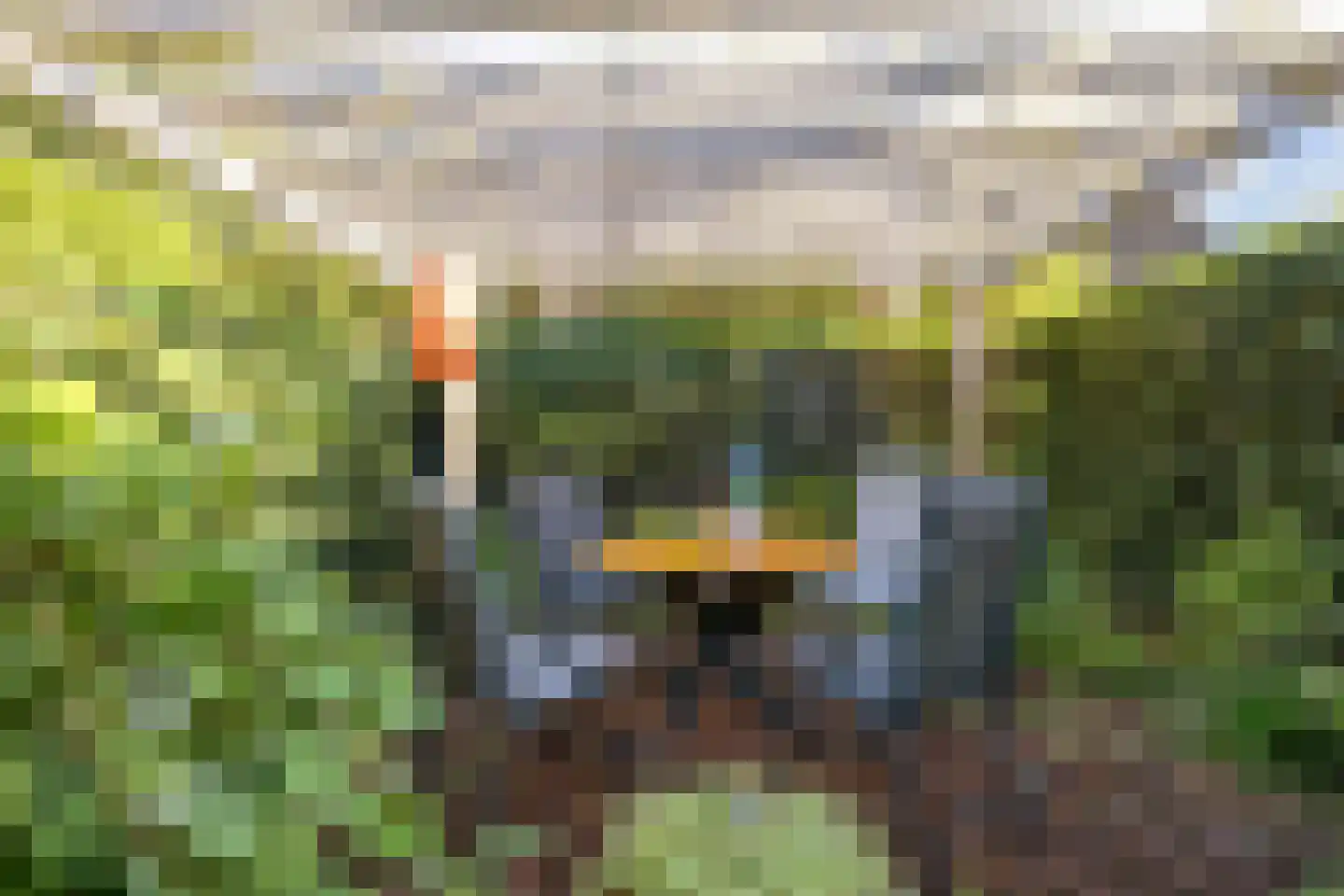 Limpe Hagingastraat 4 Slochteren thumbnail 52