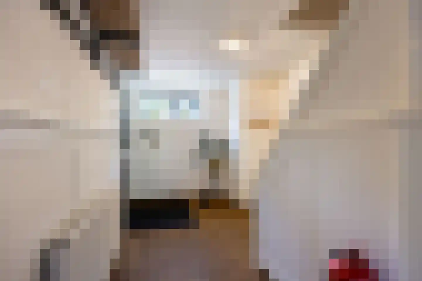 Limpe Hagingastraat 4 Slochteren thumbnail 7
