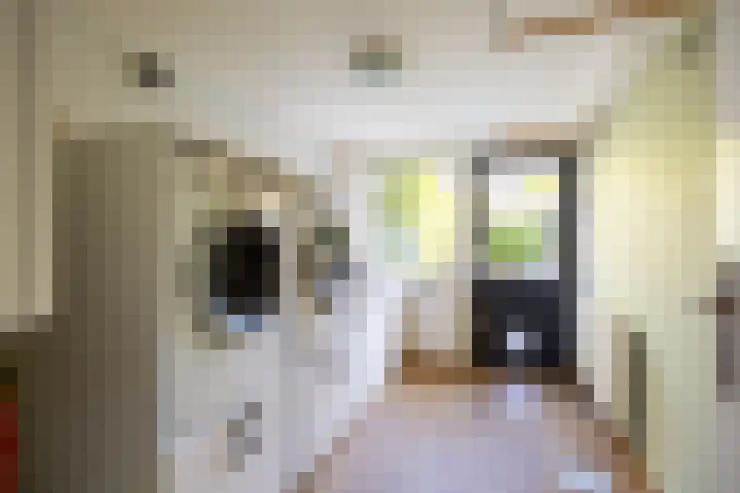 Limpe Hagingastraat 4 Slochteren thumbnail 9