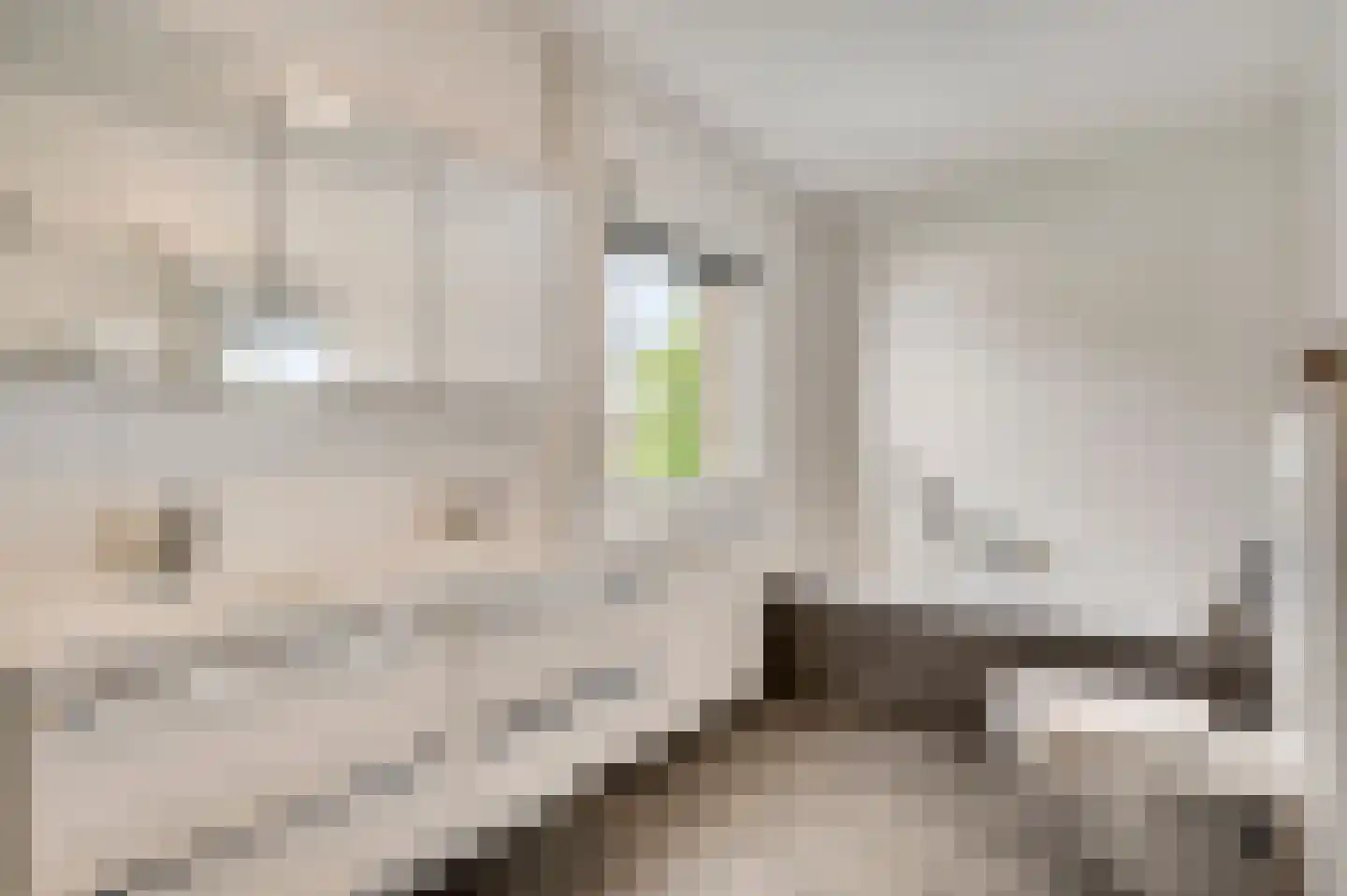 Limpenshof 16 Beek thumbnail 13