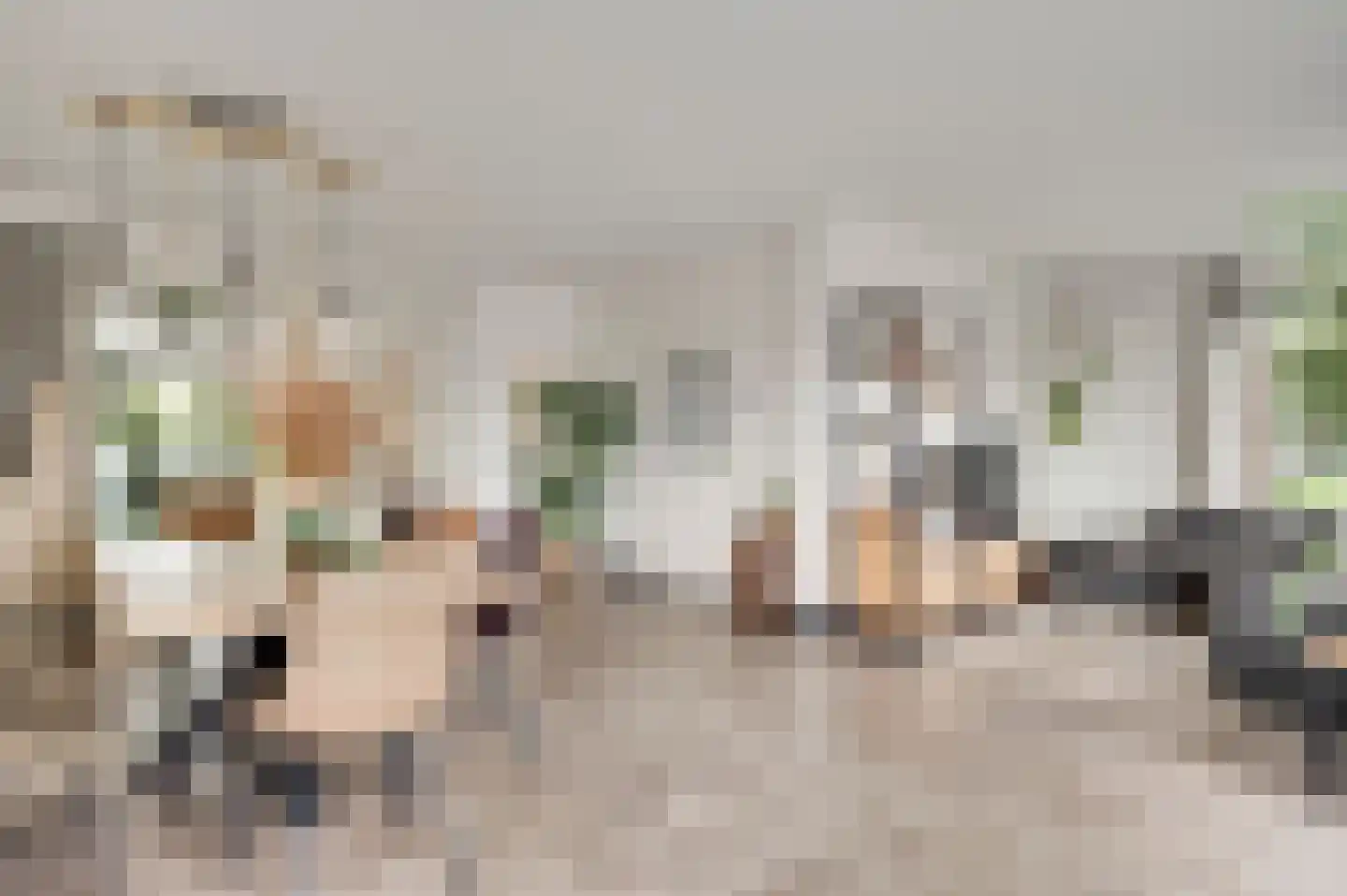 Limpenshof 16 Beek thumbnail 22