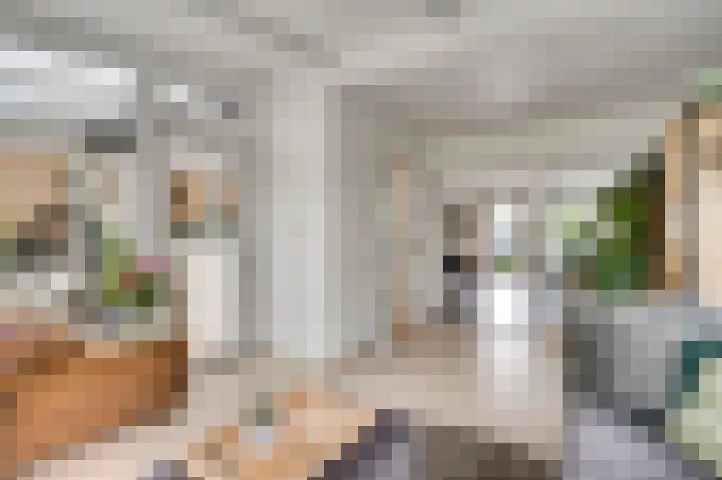 Limpenshof 16 Beek thumbnail 25