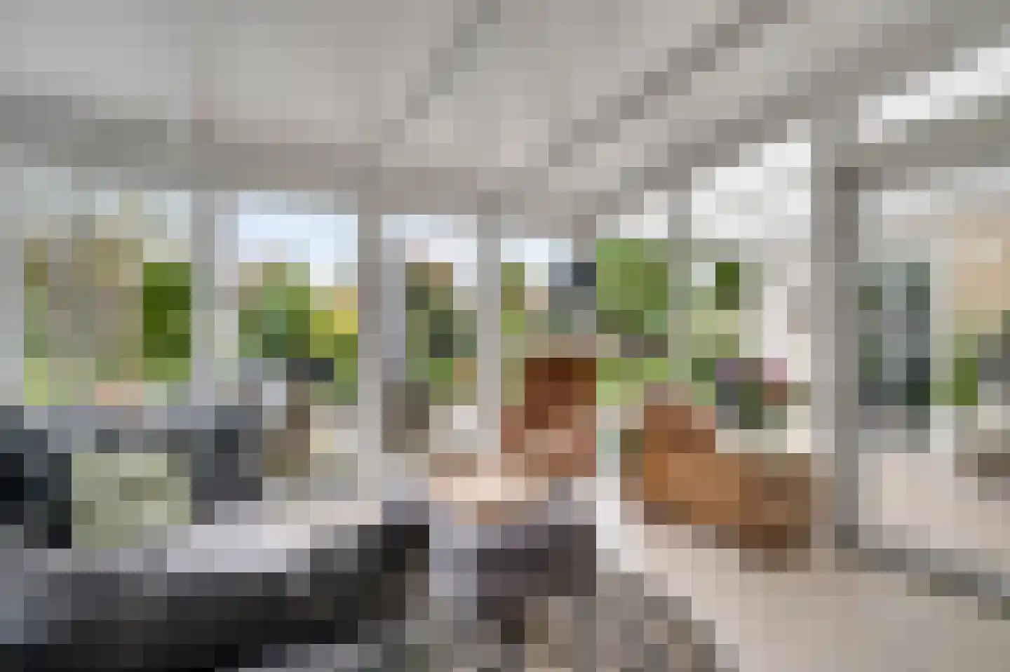 Limpenshof 16 Beek thumbnail 26