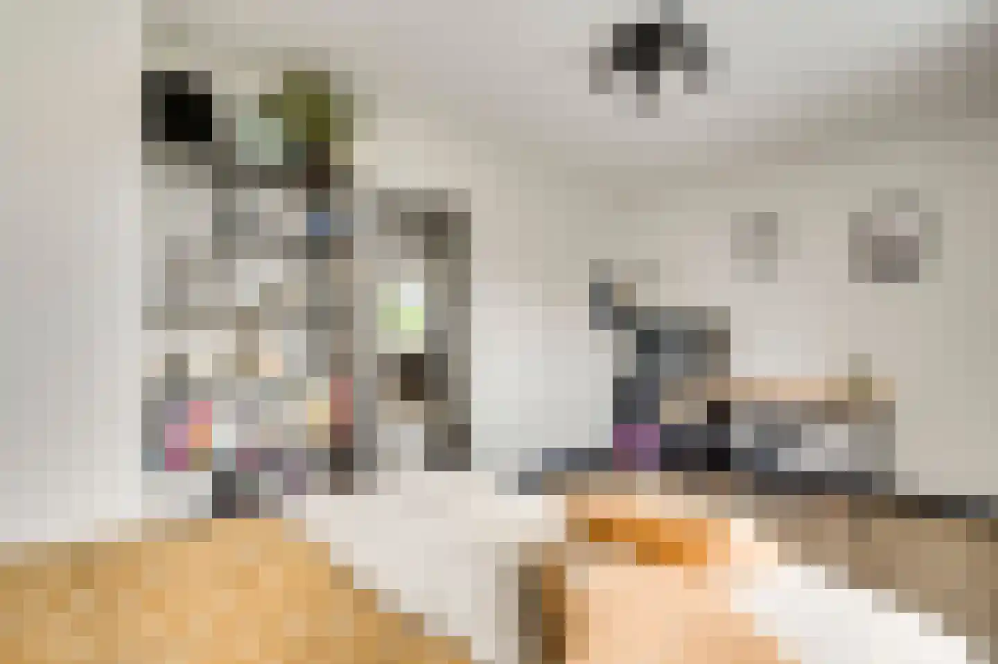 Limpenshof 16 Beek thumbnail 29