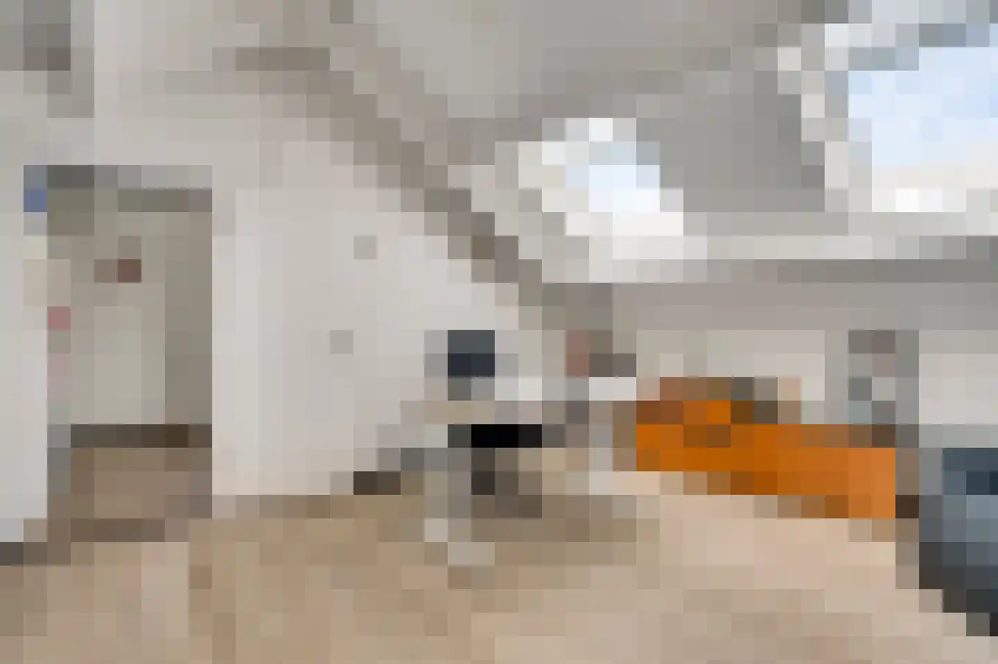 Limpenshof 16 Beek thumbnail 37