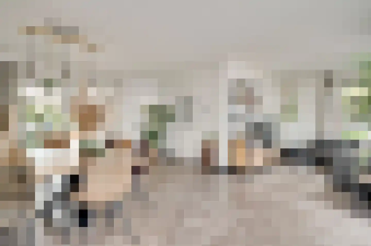 Limpenshof 16 Beek thumbnail 7