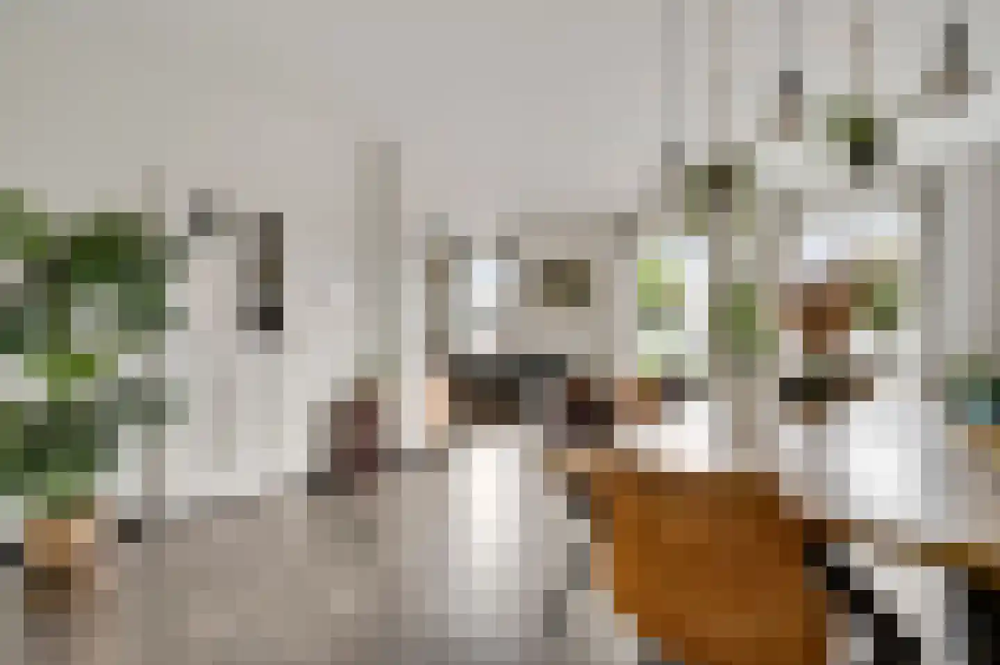 Limpenshof 16 Beek thumbnail 8