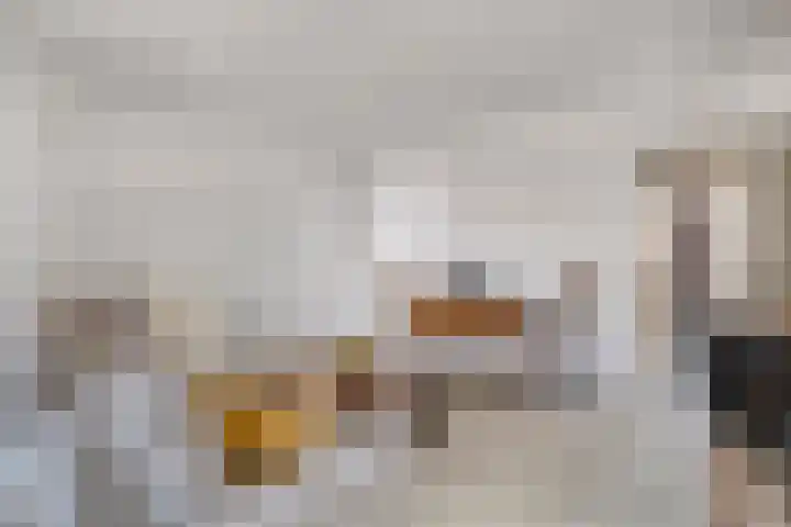 Limpenshof 24 Beek thumbnail 20